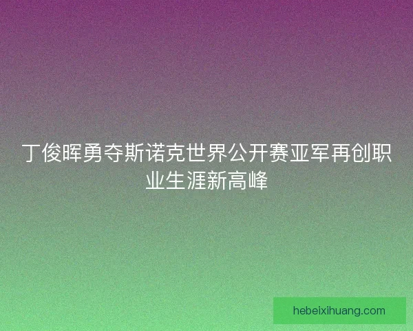 丁俊晖勇夺斯诺克世界公开赛亚军再创职业生涯新高峰
