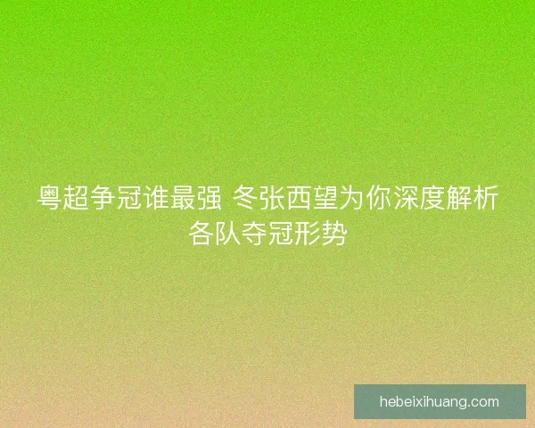 粤超争冠谁最强 冬张西望为你深度解析各队夺冠形势