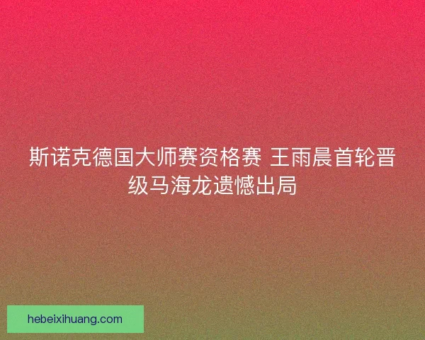 斯诺克德国大师赛资格赛 王雨晨首轮晋级马海龙遗憾出局