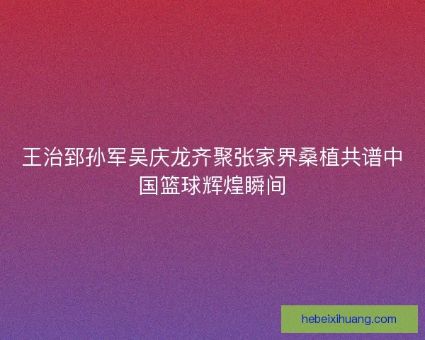 王治郅孙军吴庆龙齐聚张家界桑植共谱中国篮球辉煌瞬间 王治郅孙军吴庆龙齐聚张家界桑植共谱中国篮球辉煌瞬间